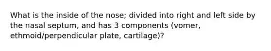 What is the inside of the nose; divided into right and left side by the nasal septum, and has 3 components (vomer, ethmoid/perpendicular plate, cartilage)?