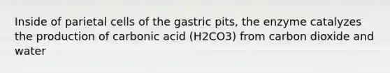 Inside of parietal cells of the gastric pits, the enzyme catalyzes the production of carbonic acid (H2CO3) from carbon dioxide and water