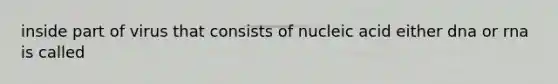 inside part of virus that consists of nucleic acid either dna or rna is called