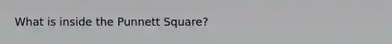 What is inside the Punnett Square?