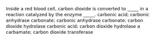 Inside a red blood cell, carbon dioxide is converted to _____ in a reaction catalyzed by the enzyme _____. carbonic acid; carbonic anhydrase carbonate; carbonic anhydrase carbonate; carbon dioxide hydrolase carbonic acid; carbon dioxide hydrolase a carbamate; carbon dioxide transferase