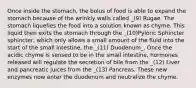 Once inside the stomach, the bolus of food is able to expand the stomach because of the wrinkly walls called _(9) Rugae. The stomach liquefies the food into a solution known as chyme. This liquid then exits the stomach through the _(10)Pyloric Sphincter sphincter, which only allows a small amount of the fluid into the start of the small intestine, the _(11) Duodenum_. Once the acidic chyme is sensed to be in the small intestine, hormones released will regulate the secretion of bile from the _(12) Liver and pancreatic juices from the _(13) Pancreas. These new enzymes now enter the duodenum and neutralize the chyme.