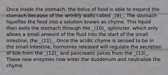 Once inside the stomach, the bolus of food is able to expand the stomach because of the wrinkly walls called _(9)_. The stomach liquefies the food into a solution known as chyme. This liquid then exits the stomach through the _(10)_ sphincter, which only allows a small amount of the fluid into the start of the small intestine, the _(11)_. Once the acidic chyme is sensed to be in the small intestine, hormones released will regulate the secretion of bile from the _(12)_ and pancreatic juices from the _(13)_. These new enzymes now enter the duodenum and neutralize the chyme.