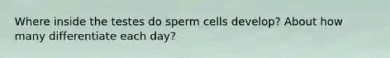 Where inside the testes do sperm cells develop? About how many differentiate each day?