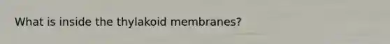 What is inside the thylakoid membranes?