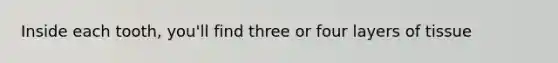 Inside each tooth, you'll find three or four layers of tissue