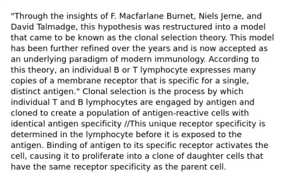 "Through the insights of F. Macfarlane Burnet, Niels Jerne, and David Talmadge, this hypothesis was restructured into a model that came to be known as the clonal selection theory. This model has been further refined over the years and is now accepted as an underlying paradigm of modern immunology. According to this theory, an individual B or T lymphocyte expresses many copies of a membrane receptor that is specific for a single, distinct antigen." Clonal selection is the process by which individual T and B lymphocytes are engaged by antigen and cloned to create a population of antigen-reactive cells with identical antigen specificity //This unique receptor specificity is determined in the lymphocyte before it is exposed to the antigen. Binding of antigen to its specific receptor activates the cell, causing it to proliferate into a clone of daughter cells that have the same receptor specificity as the parent cell.