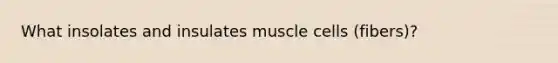 What insolates and insulates muscle cells (fibers)?