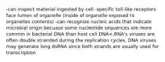 -can inspect material ingested by cell -specific toll-like receptors face lumen of organelle (inside of organelle exposed to organelles contents) -can recognize nucleic acids that indicate microbial origin becuase some nucleotide sequences are more commin in bacterial DNA than host cell DNA<,RNA's viruses are often double stranded during the replication cycles, DNA viruses may generate long dsRNA since both strands are usually used for transcription