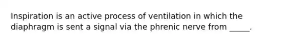 Inspiration is an active process of ventilation in which the diaphragm is sent a signal via the phrenic nerve from _____.