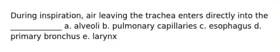 During inspiration, air leaving the trachea enters directly into the _____________ a. alveoli b. pulmonary capillaries c. esophagus d. primary bronchus e. larynx