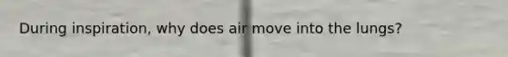 During inspiration, why does air move into the lungs?