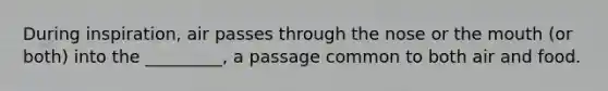During inspiration, air passes through the nose or the mouth (or both) into the _________, a passage common to both air and food.