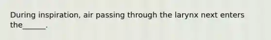 During inspiration, air passing through the larynx next enters the______.