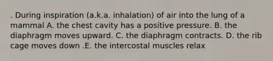 . During inspiration (a.k.a. inhalation) of air into the lung of a mammal A. the chest cavity has a positive pressure. B. the diaphragm moves upward. C. the diaphragm contracts. D. the rib cage moves down .E. the intercostal muscles relax