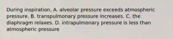 During inspiration, A. alveolar pressure exceeds atmospheric pressure. B. transpulmonary pressure increases. C. the diaphragm relaxes. D. intrapulmonary pressure is less than atmospheric pressure