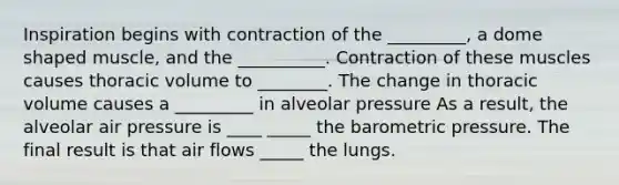 Inspiration begins with contraction of the _________, a dome shaped muscle, and the __________. Contraction of these muscles causes thoracic volume to ________. The change in thoracic volume causes a _________ in alveolar pressure As a result, the alveolar air pressure is ____ _____ the barometric pressure. The final result is that air flows _____ the lungs.