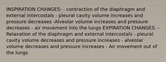 INSPIRATION CHANGES: - contraction of the diaphragm and external intercostals - pleural cavity volume increases and pressure decreases -Alveolar volume increases and pressure decreases - air movement into the lungs EXPIRATION CHANGES: - Relaxation of the diaphragm and external intercostals - pleural cavity volume decreases and pressure increases - alveolar volume decreases and pressure increases - Air movement out of the lungs