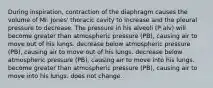 During inspiration, contraction of the diaphragm causes the volume of Mr. Jones' thoracic cavity to increase and the pleural pressure to decrease. The pressure in his alveoli (P alv) will become greater than atmospheric pressure (PB), causing air to move out of his lungs. decrease below atmospheric pressure (PB), causing air to move out of his lungs. decrease below atmospheric pressure (PB), causing air to move into his lungs. become greater than atmospheric pressure (PB), causing air to move into his lungs. does not change.