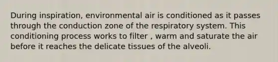 During inspiration, environmental air is conditioned as it passes through the conduction zone of the respiratory system. This conditioning process works to filter , warm and saturate the air before it reaches the delicate tissues of the alveoli.