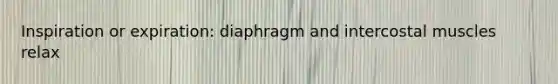 Inspiration or expiration: diaphragm and intercostal muscles relax