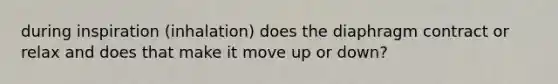 during inspiration (inhalation) does the diaphragm contract or relax and does that make it move up or down?