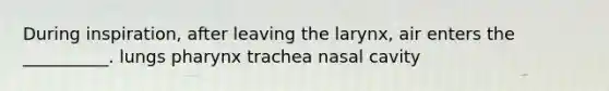 During inspiration, after leaving the larynx, air enters the __________. lungs pharynx trachea nasal cavity