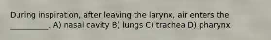 During inspiration, after leaving the larynx, air enters the __________. A) nasal cavity B) lungs C) trachea D) pharynx