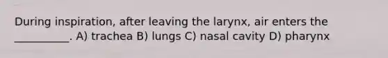 During inspiration, after leaving the larynx, air enters the __________. A) trachea B) lungs C) nasal cavity D) pharynx