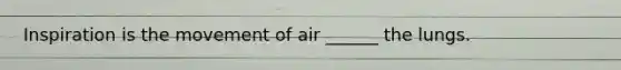 Inspiration is the movement of air ______ the lungs.