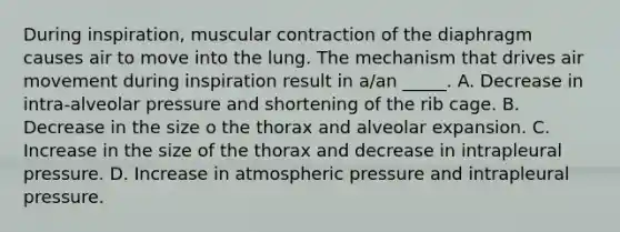 During inspiration, muscular contraction of the diaphragm causes air to move into the lung. The mechanism that drives air movement during inspiration result in a/an _____. A. Decrease in intra-alveolar pressure and shortening of the rib cage. B. Decrease in the size o the thorax and alveolar expansion. C. Increase in the size of the thorax and decrease in intrapleural pressure. D. Increase in atmospheric pressure and intrapleural pressure.