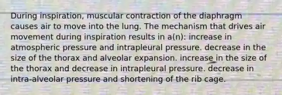 During inspiration, muscular contraction of the diaphragm causes air to move into the lung. The mechanism that drives air movement during inspiration results in a(n): increase in atmospheric pressure and intrapleural pressure. decrease in the size of the thorax and alveolar expansion. increase in the size of the thorax and decrease in intrapleural pressure. decrease in intra-alveolar pressure and shortening of the rib cage.