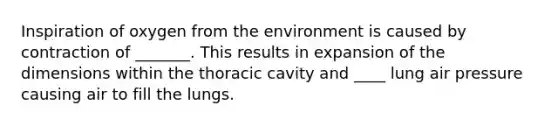 Inspiration of oxygen from the environment is caused by contraction of _______. This results in expansion of the dimensions within the thoracic cavity and ____ lung air pressure causing air to fill the lungs.