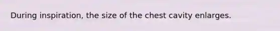 During inspiration, the size of the chest cavity enlarges.