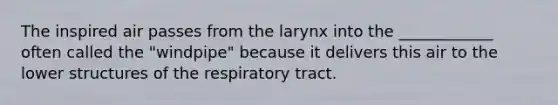 The inspired air passes from the larynx into the ____________ often called the "windpipe" because it delivers this air to the lower structures of the respiratory tract.