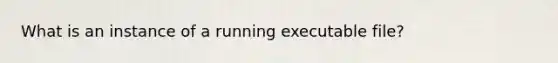 What is an instance of a running executable file?