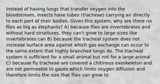 Instead of having lungs that transfer oxygen into the bloodstream, insects have tubes (tracheae) carrying air directly to each part of their bodies. Given this system, why are there no flies as big as elephants? A) because flies are invertebrates and without hard structures, they can't grow to large sizes like invertebrates can B) because the tracheal system does not increase surface area against which gas exchange can occur to the same extent that highly branched lungs do. The tracheal system is sufficient for a small animal but not for a large animal C) because fly tracheae are covered a chitinous exoskeleton and are not permeable to gases which limits oxygen diffusion and therefore limits the size that flies can grow to