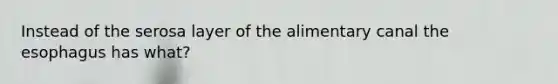 Instead of the serosa layer of the alimentary canal the esophagus has what?