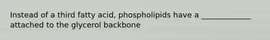 Instead of a third fatty acid, phospholipids have a _____________ attached to the glycerol backbone