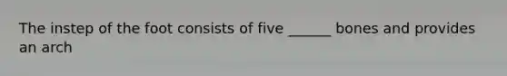 The instep of the foot consists of five ______ bones and provides an arch