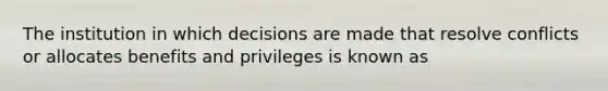 The institution in which decisions are made that resolve conflicts or allocates benefits and privileges is known as