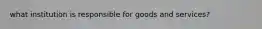 what institution is responsible for goods and services?