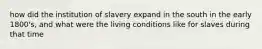 how did the institution of slavery expand in the south in the early 1800's, and what were the living conditions like for slaves during that time