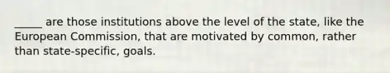 _____ are those institutions above the level of the state, like the European Commission, that are motivated by common, rather than state-specific, goals.