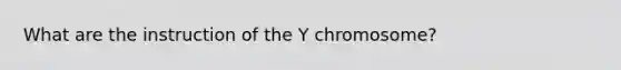 What are the instruction of the Y chromosome?