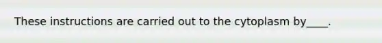 These instructions are carried out to the cytoplasm by____.