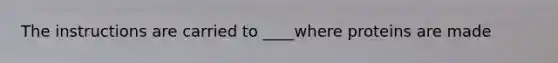 The instructions are carried to ____where proteins are made