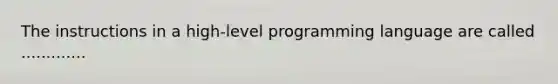 The instructions in a high-level programming language are called .............