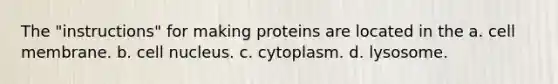 The "instructions" for making proteins are located in the a. cell membrane. b. cell nucleus. c. cytoplasm. d. lysosome.