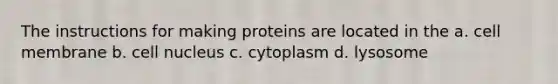 The instructions for making proteins are located in the a. cell membrane b. cell nucleus c. cytoplasm d. lysosome